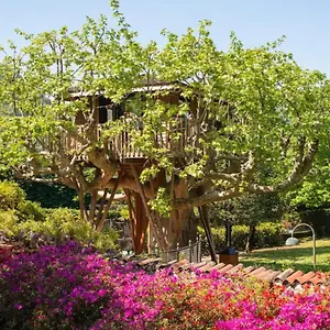  Glamping Dream Tree House
