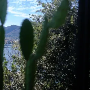 Veranda View Apartment